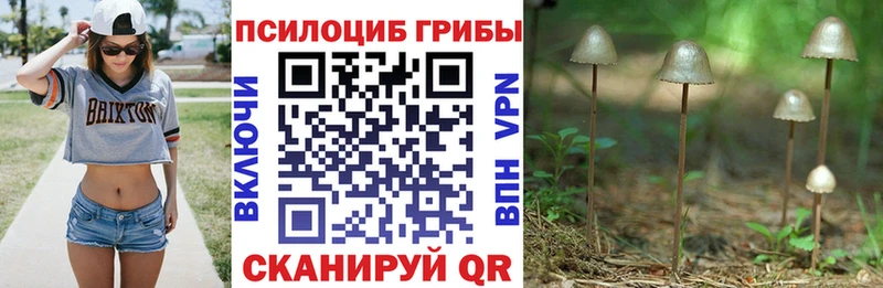 Купить закладки  Павловск  Галлюциногенные грибы мухоморы 